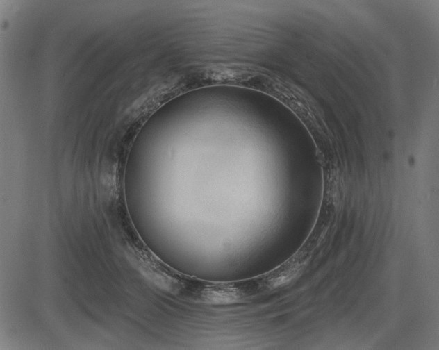 X0000083610510200702121118