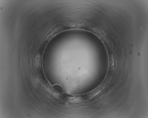 X0000083610511200702121118