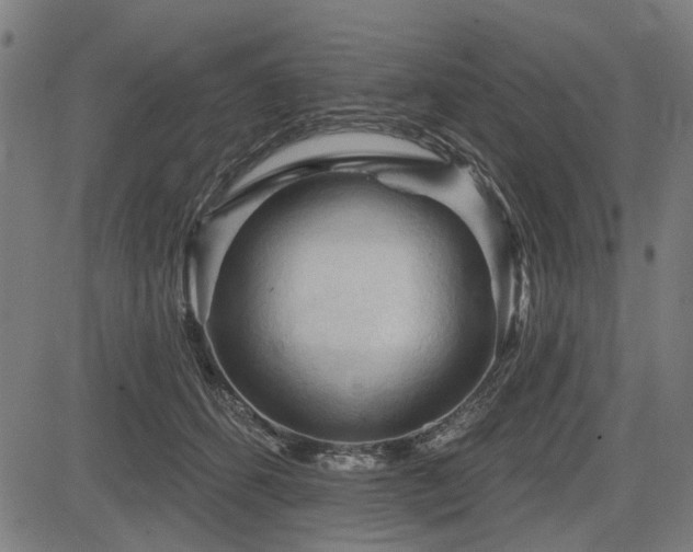 X0000083610512200702121118