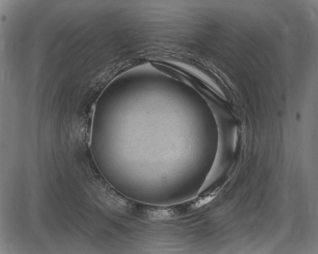 X0000083610513200702121118