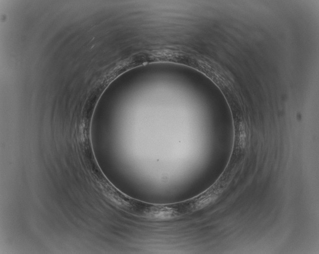 X0000083610514200702121118