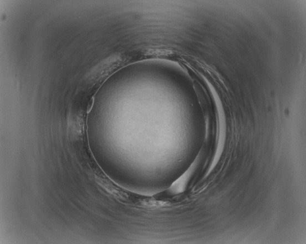 X0000083610517200702121118