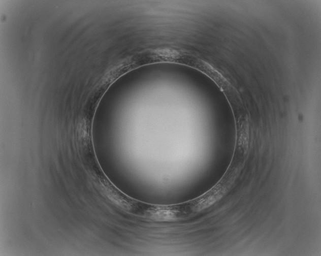 X0000083610518200702121118