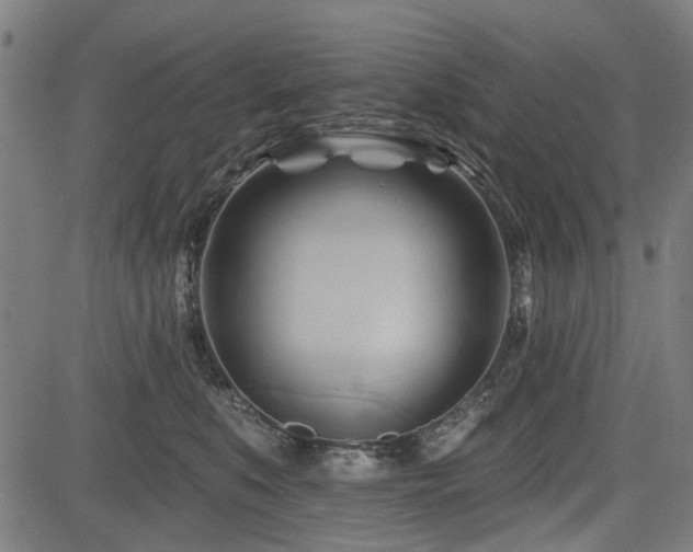 X0000083610519200702121118