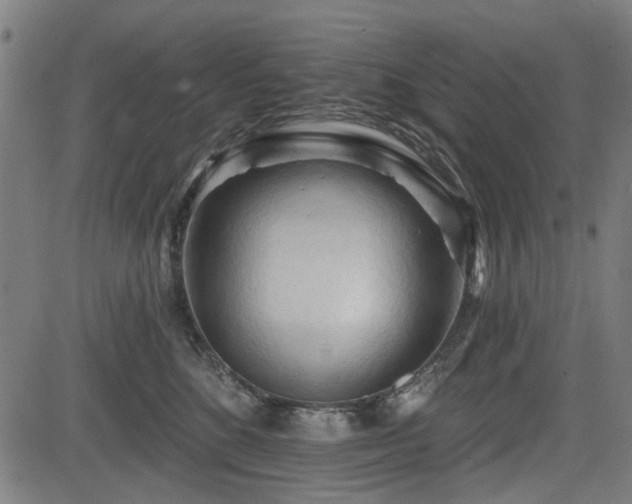 X0000083610520200702121118