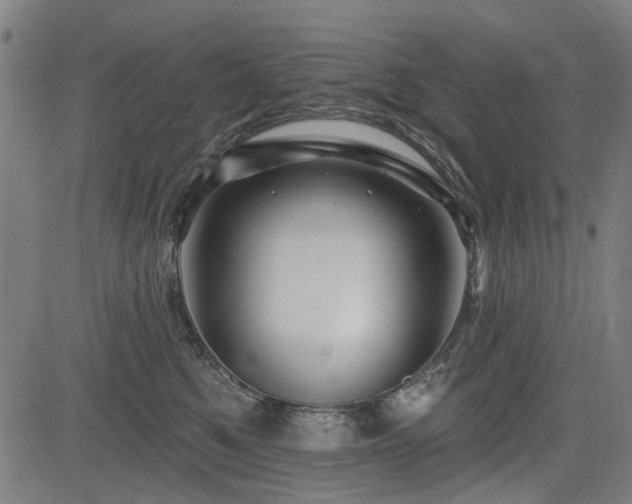 X0000083610521200702121118