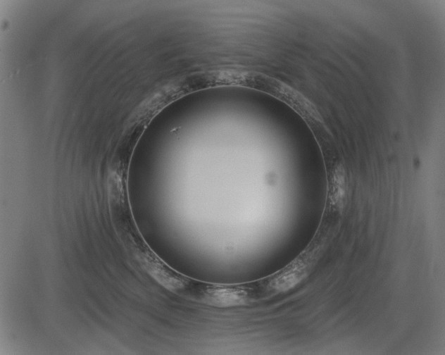 X0000083610522200702121118