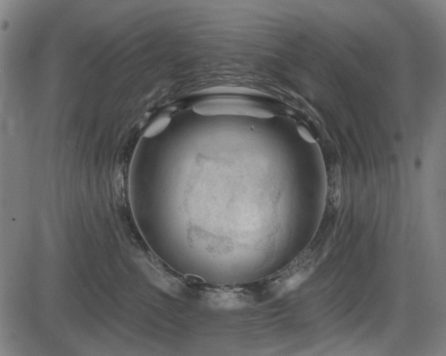 X0000083610523200702121118