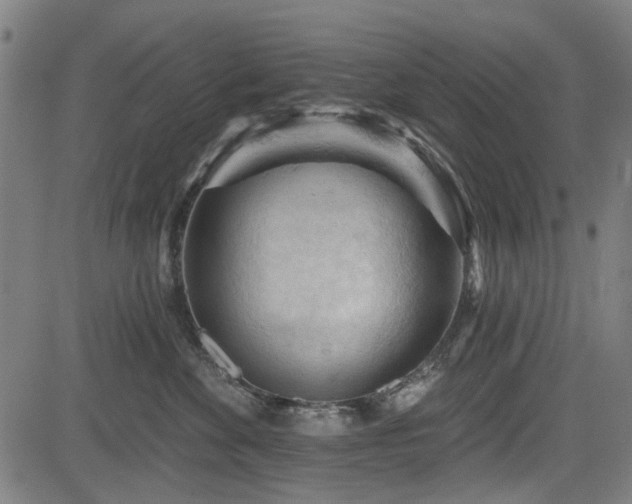 X0000083610524200702121118