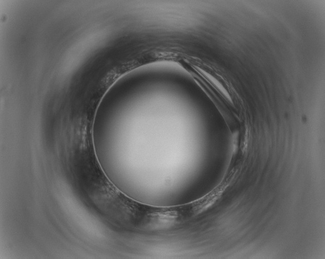 X0000083610525200702121118