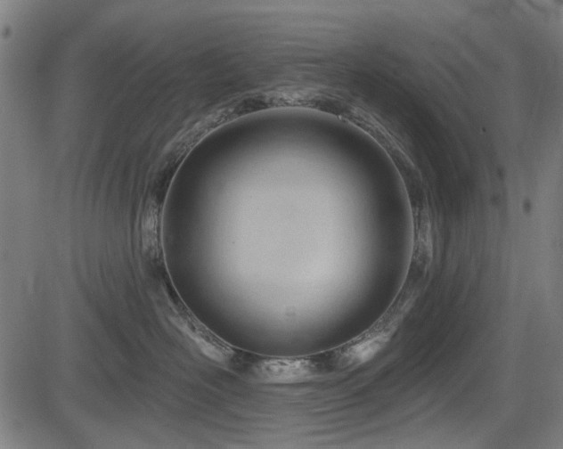 X0000083610526200702121118