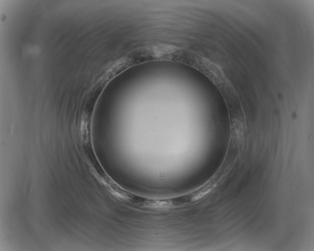 X0000083610527200702121118