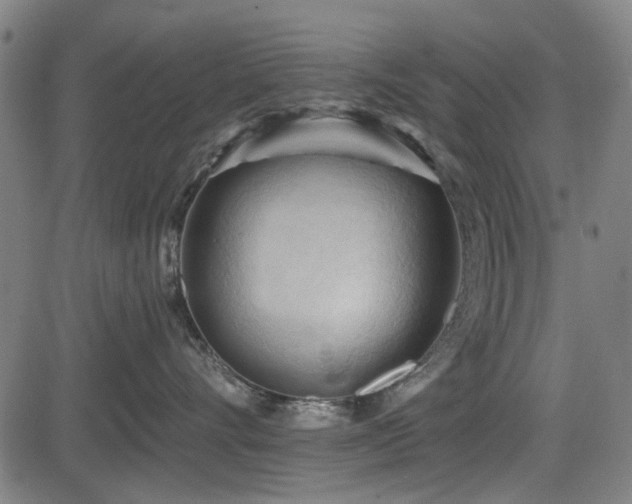 X0000083610528200702121118