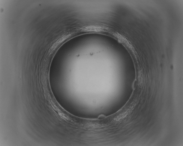 X0000083610529200702121117