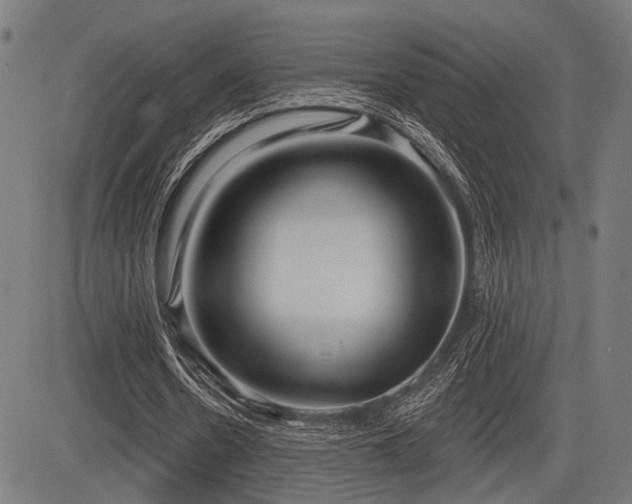 X0000083610530200702121117