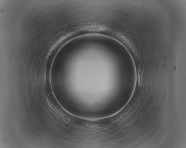 X0000083610531200702121117