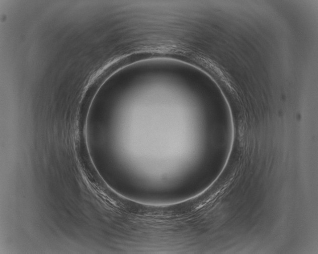 X0000083610532200702121117