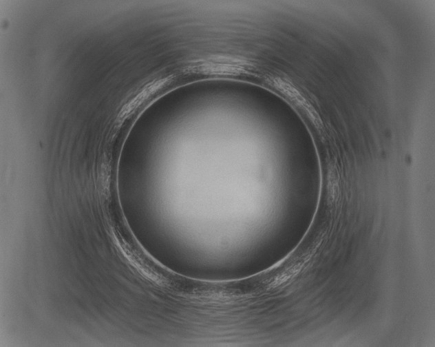 X0000083610533200702121117