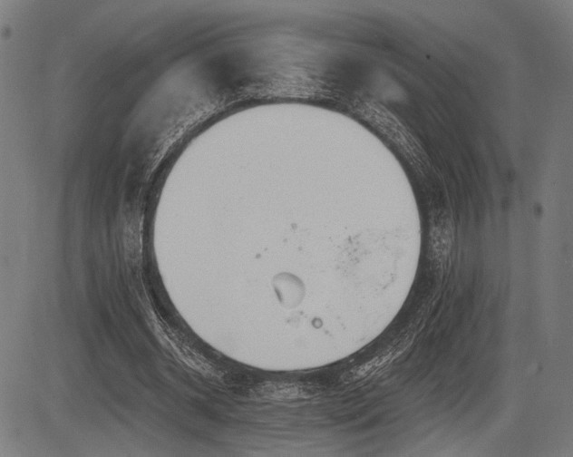 X0000083610534200702121117