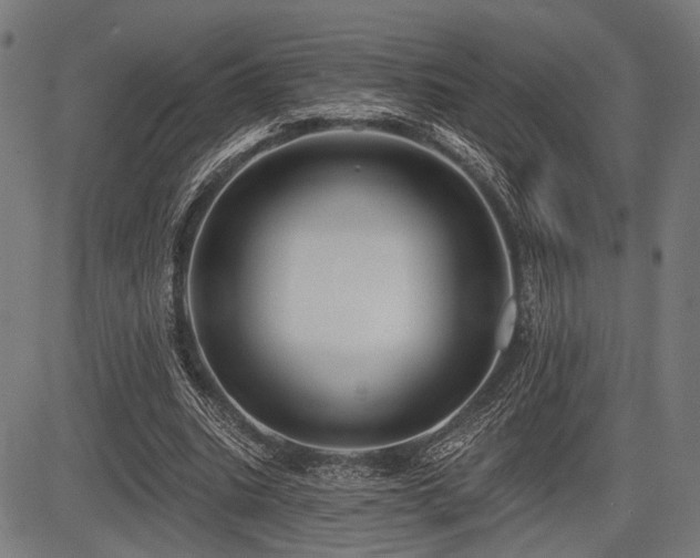 X0000083610535200702121117