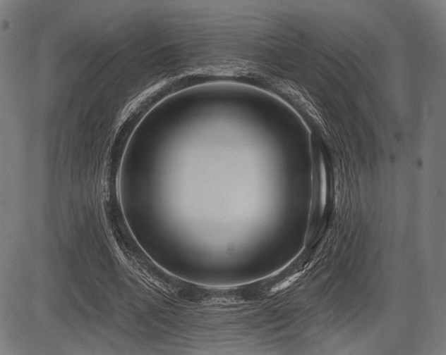 X0000083610536200702121117