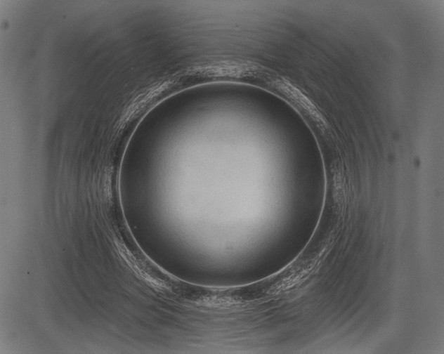 X0000083610537200702121117