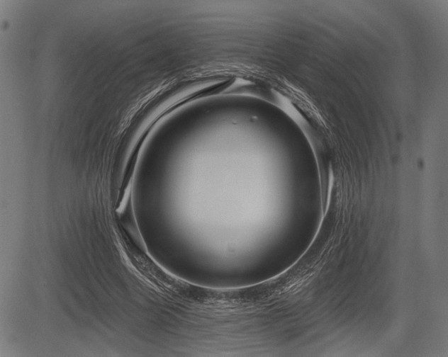 X0000083610538200702121118