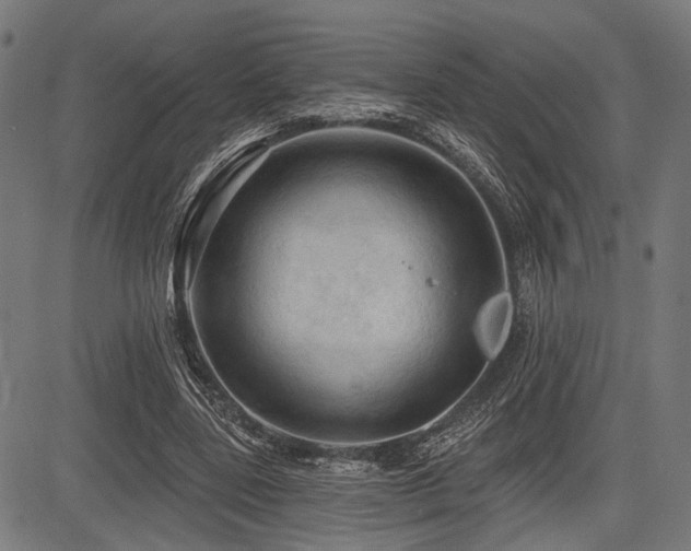 X0000083610539200702121118