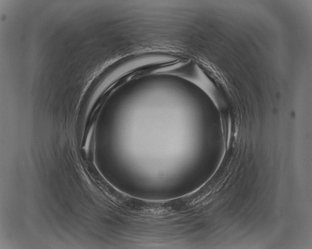 X0000083610540200702121118