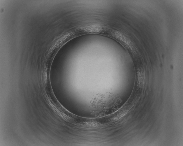 X0000083610541200702121118