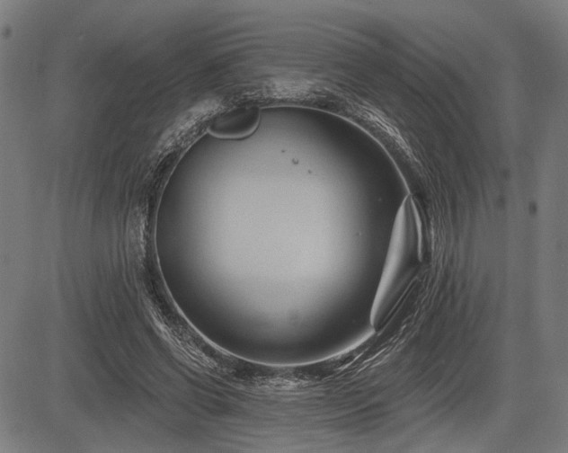 X0000083610542200702121118