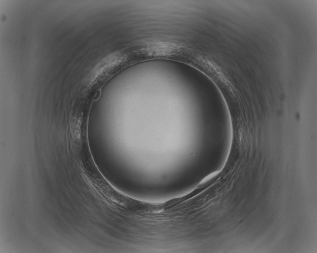 X0000083610543200702121118