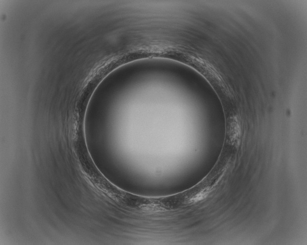 X0000083610544200702121118