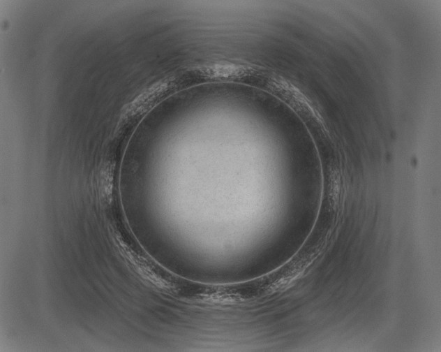 X0000083610545200702121118