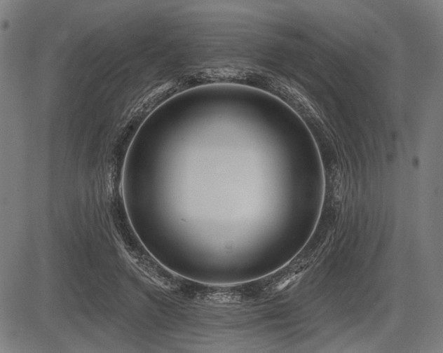 X0000083610546200702121118