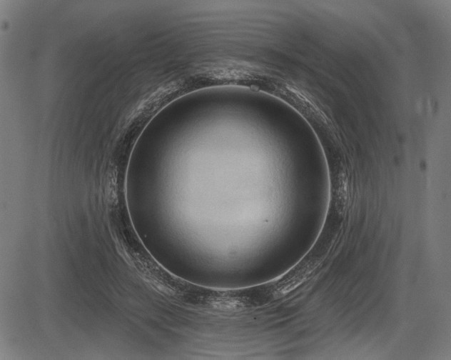 X0000083610547200702121118