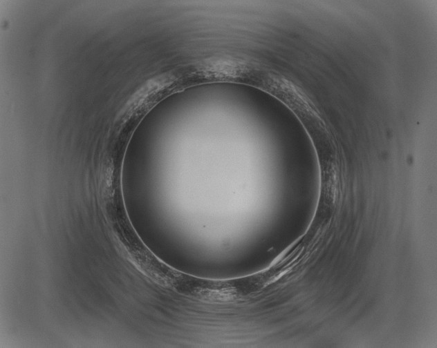 X0000083610548200702121118