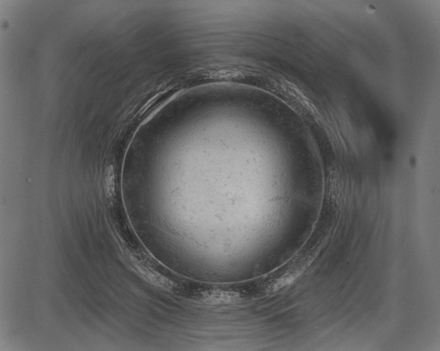 X0000083610549200702121118