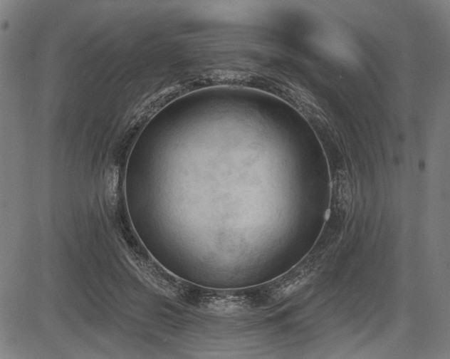 X0000083610550200702121118