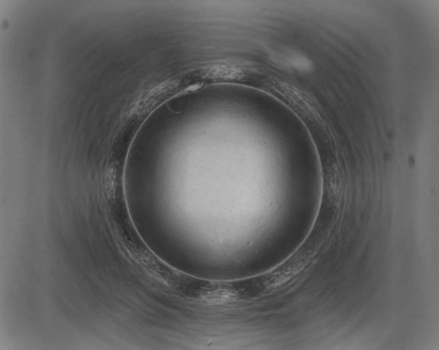 X0000083610551200702121118