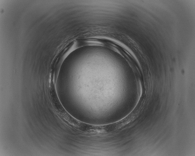 X0000083610552200702121118