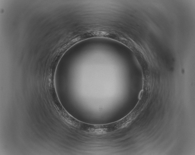 X0000083610553200702121118