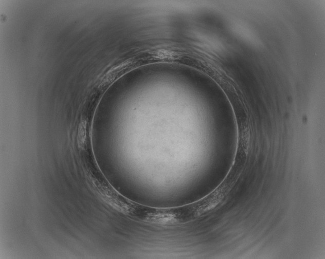 X0000083610554200702121118