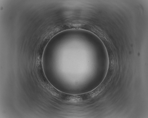 X0000083610555200702121118