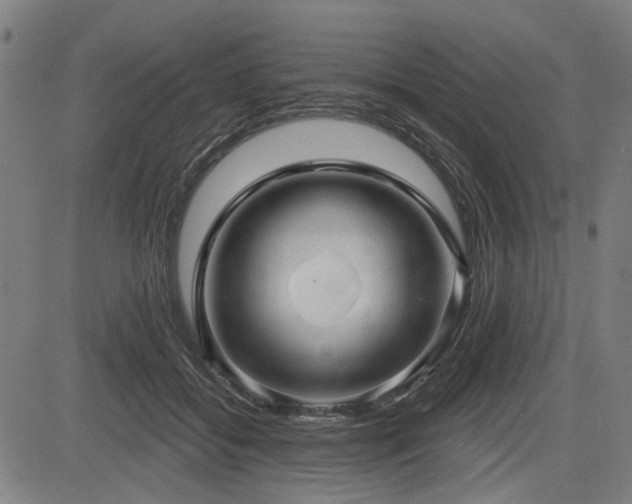 X0000083610556200702121118