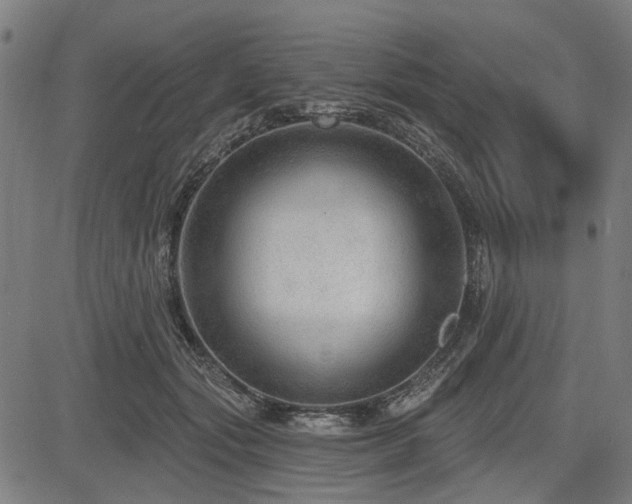 X0000083610557200702121118