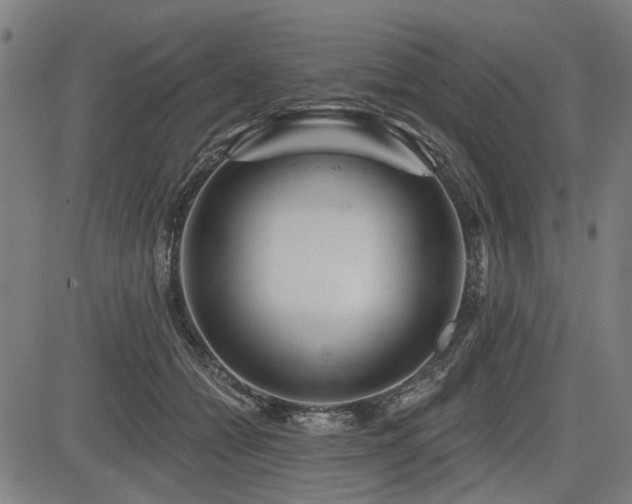 X0000083610558200702121118