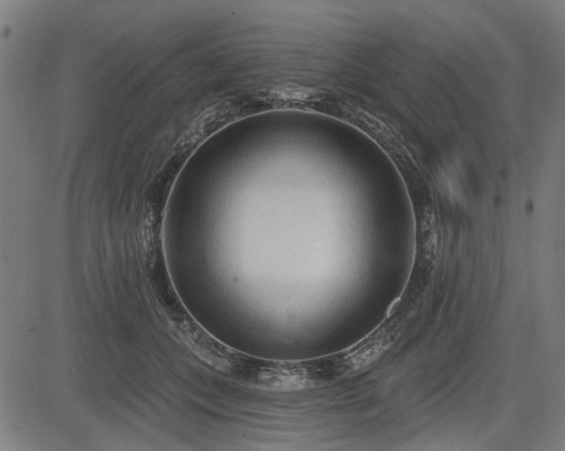 X0000083610559200702121118