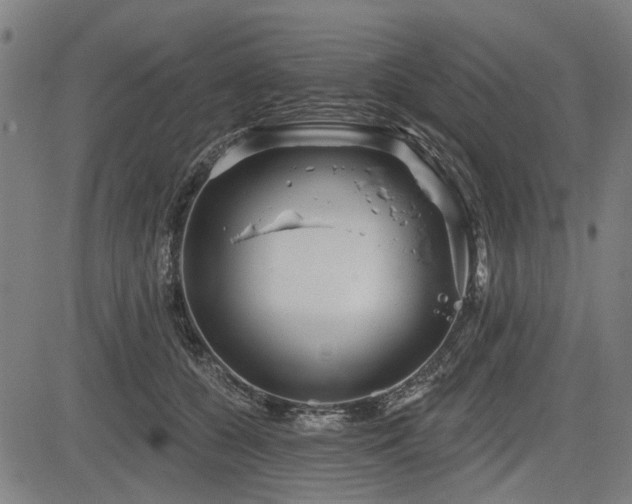 X0000083610560200702121118