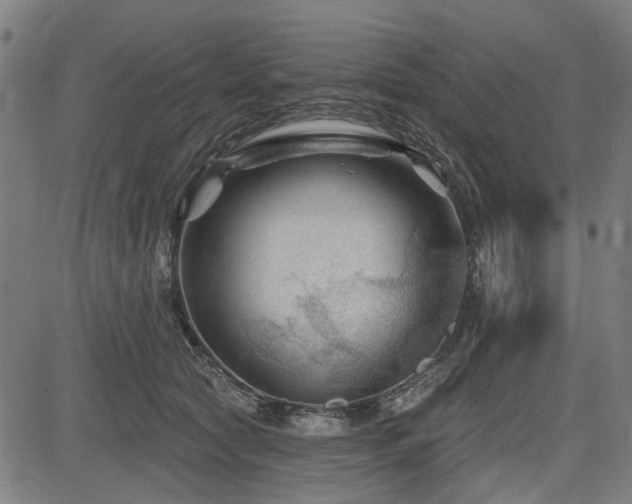 X0000083610561200702121118